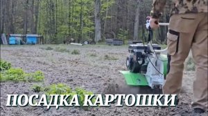 ПОСАДКА КАРТОШКИ. МАЛЕНЬКАЯ ХИТРОСТЬ ДЛЯ БОЛЬШОГО УРОЖАЯ.