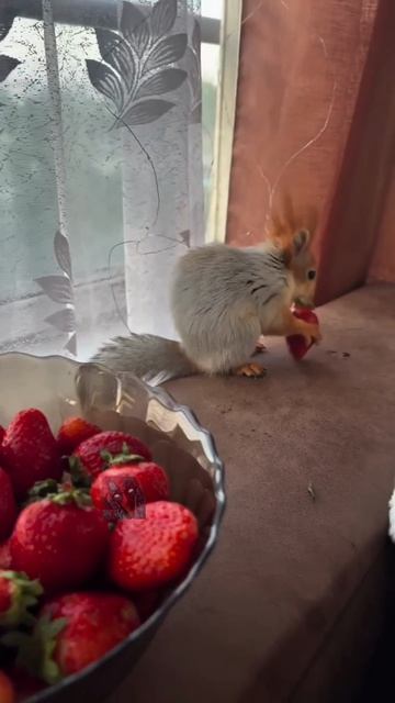 Всем отличного Апрельского настроения 🥰🫶😼