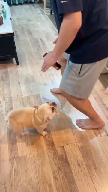 Выходные продолжаются 🕺))