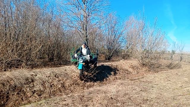 Барсик может