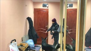 Трейлер: Сделала два ДОБРЫХ дела и счастлива 😊Покупки НЕОБЫЧНЫЕ туфли и кухонные штучки из Фамилии.