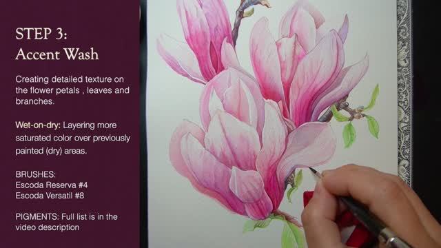 АКВАРЕЛЬНАЯ МАГНОЛИЯ 🌸 Как нарисовать цветок магнолии. Пошаговое руководство. Обзор материалов