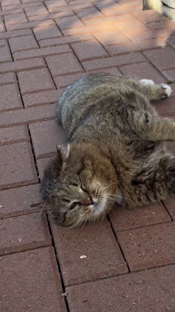 Бегом в ласковый май 26-04-2026