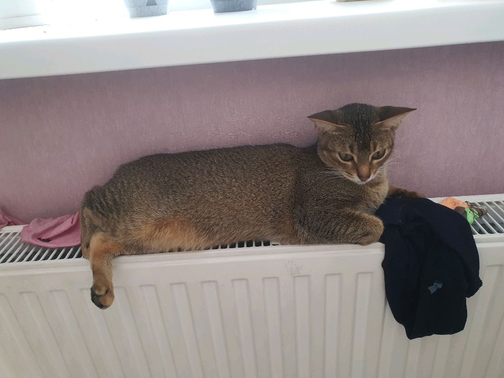 эксперемент