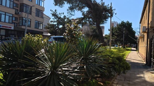 Анапа 26.04.2026 Коротко