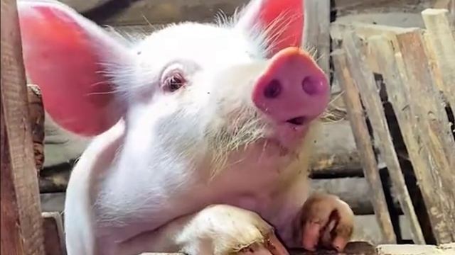 с днем рождения Саня братишка!