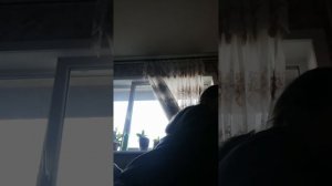 Мой школай😈 5