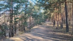 Осторожно мошенники! Сохраним свои деньги