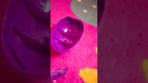 1000015349.mp4