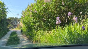 17-19 апреля 2026.  Фадж-Брауни и Картошечка. Воскресный влог.