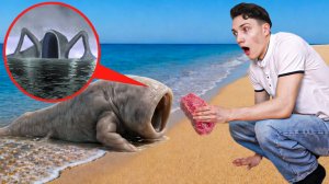 Я НАШЕЛ МАЛЫША ПОЖИРАТЕЛЯ МОРЕЙ в РЕАЛЬНОЙ ЖИЗНИ! 😱 ПОДВОДНЫЕ МОНСТРЫ БЛУП и ЭЛЬ ГРАН МАЙЯ