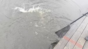 copy_E5639C24-8F82-46B0-894A-BC5AC1A3F858