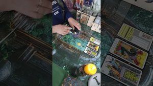 Соперница запуталась в своей паутине и барахтается в ней?