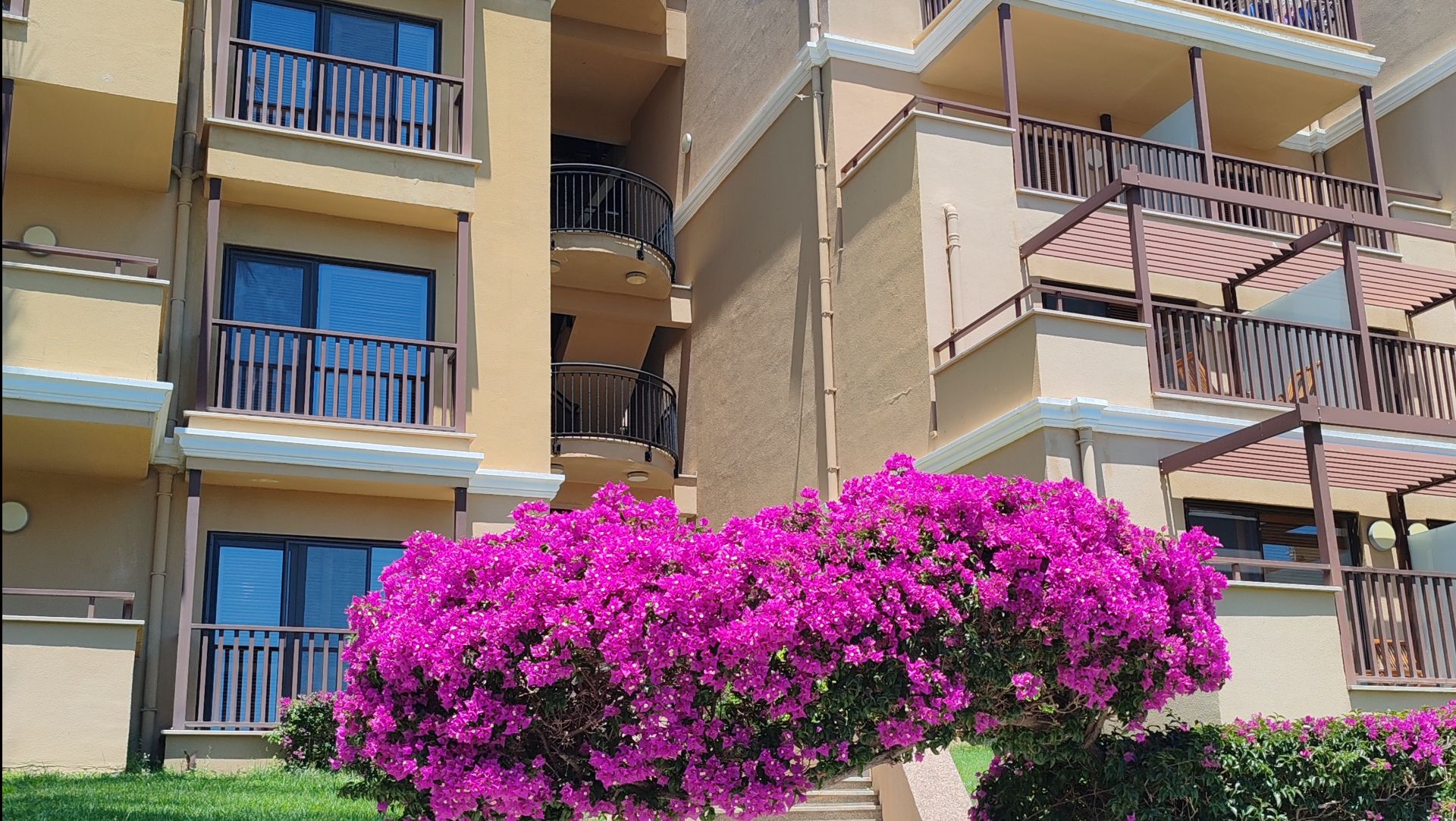 ASTERIA famili belek. Утро.