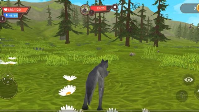 Природа волк и зайцы я в лесу побыл волком поиграл зайцами Видео про животных