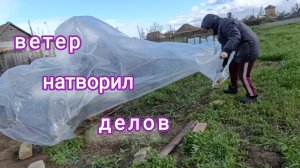 Соседу выбил два окна. У меня сломал парник и свалил уличный туалет. Готовлю детали для стола.