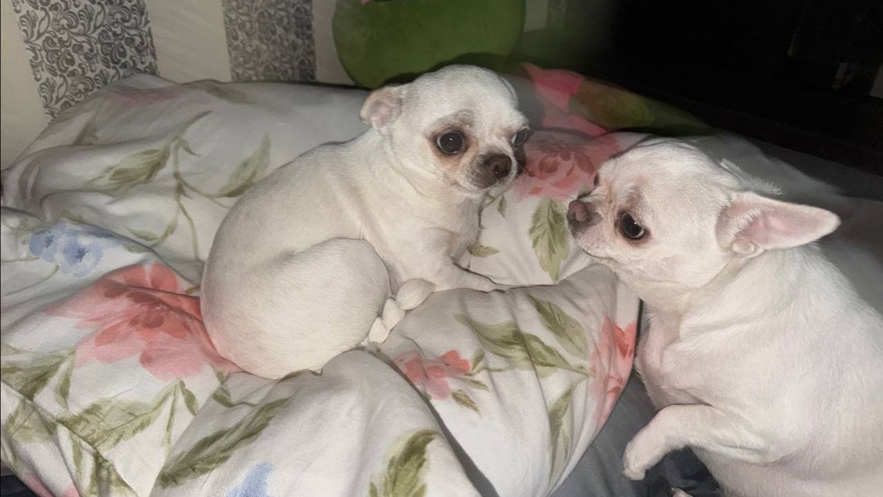 Доброго всем утречка и чудесного начала денечка!