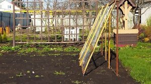 Дом купила, сына и дочек воспитала, деревьев насажала))). План перевыполнила!