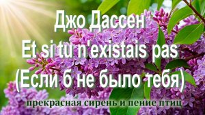 Джо Дассен - Et si tu n'existais pas / Если бы не было тебя.. Музыкальный шедевр на все времена