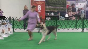 Тахакиро Восточный Охотник