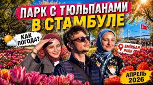 Сын студент в ПАРК ТЮЛЬПАНОВ В СТАМБУЛЕ! Как добраться до Emirgan? Отдых в Турции 2026