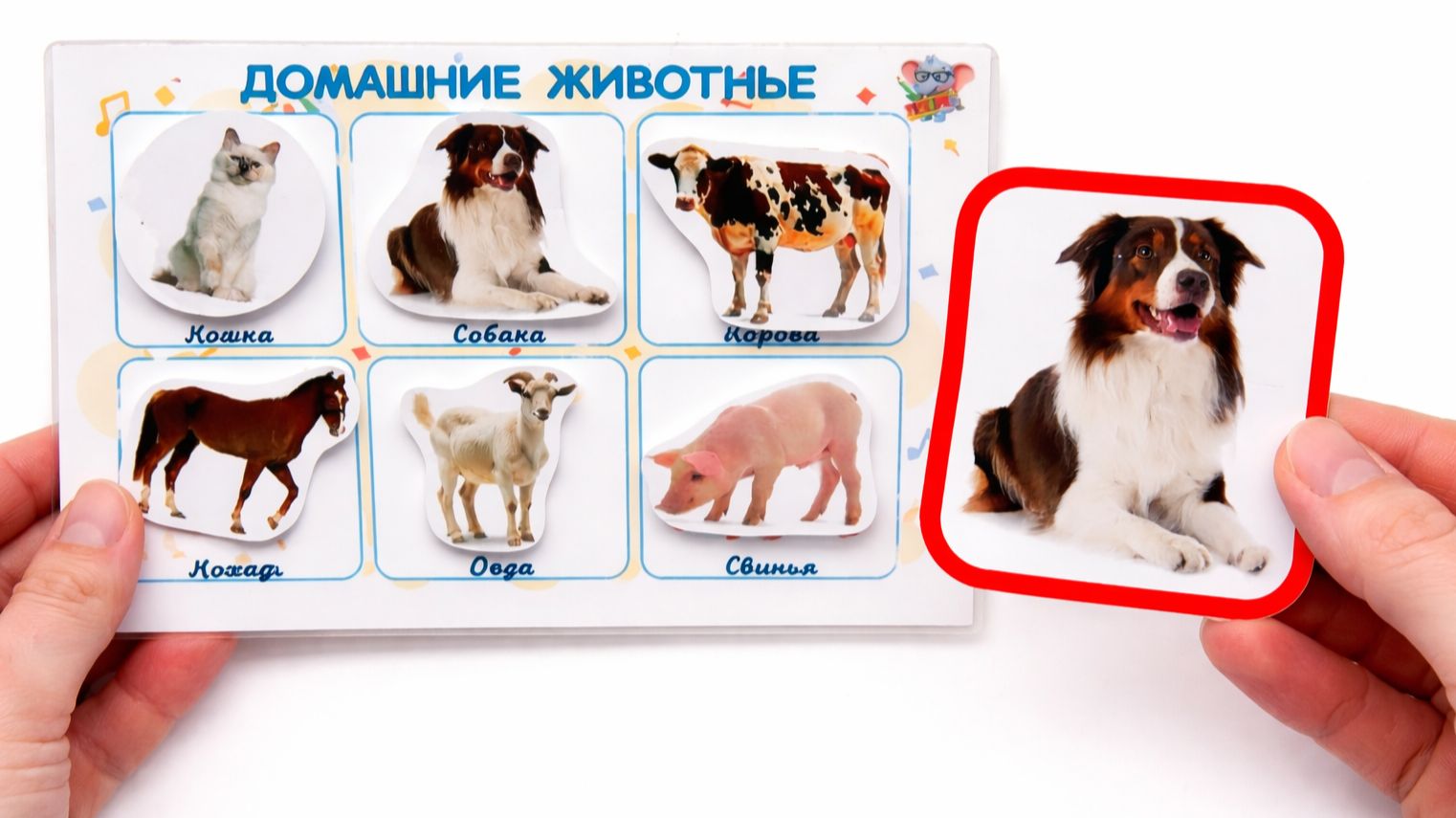 Учим домашних животных 🐮 Развивающее видео для детей | Первые слова