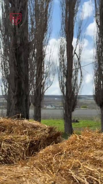 На винодельне Бюрнье готовятся к обратным заморозкам