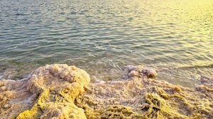 Нouse «Марсианский бриз«creative2000#музыка