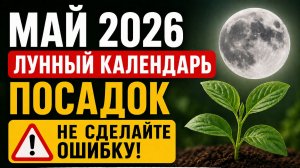 В эти дни сажать нельзя! Лунный календарь на май 2026. Лучшие и худшие дни для посадок