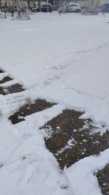 Я слепил большой камок