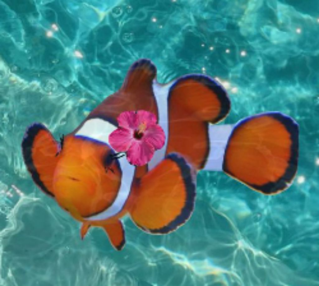 трансляция)