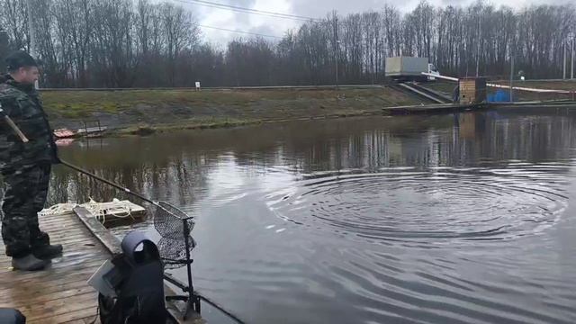 поимка форели