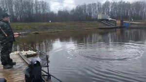 поимка форели