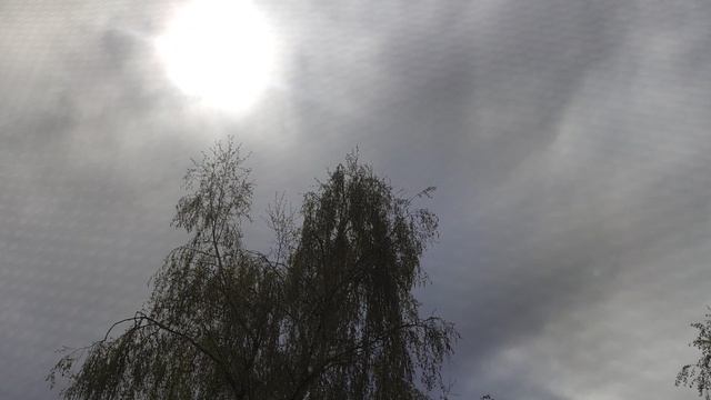 26 апреля магический солнечный ☀️ подарок от волшебника как обещал....