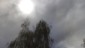 26 апреля магический солнечный ☀️ подарок от волшебника как обещал....