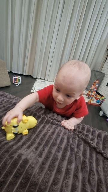 «Колобок, беги!»