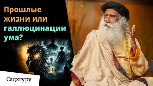 Как экстрасенс разрушил одну жизнь за 90 долларов в час