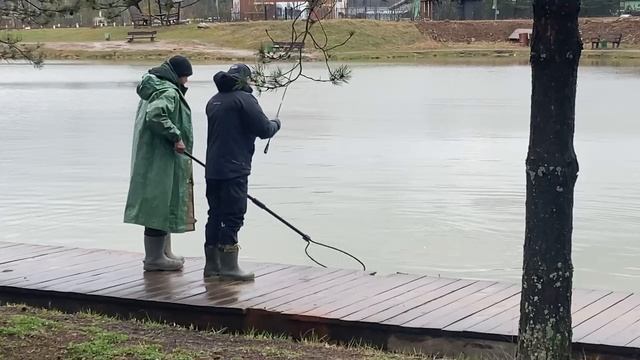 поимка форели