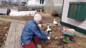 26-04-2026 Пришла весна, хочется красоты 💃💃💃.