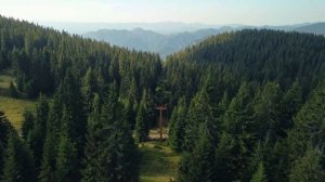 Живые мандалы и танцы в йоге. Телесные медитации.