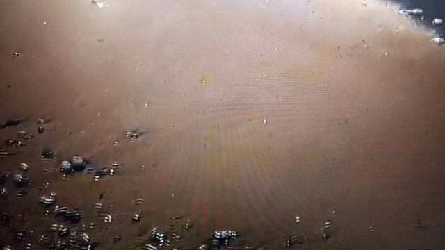 Рыма Чек - все без вины виноваты