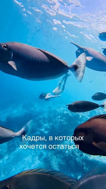 Хочешь мы снимем для тебя такое видео?)