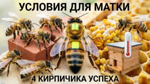 Хотите хороших маток? Создайте им эти 4 условия. Отвечает профессор Кашковский