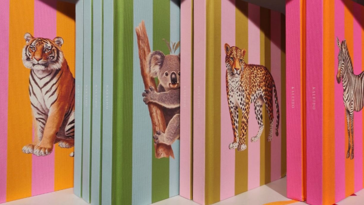 Книжные находки. Запоздалый влог 😍📚🇫🇷🇷🇺