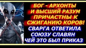 Бог архонты и высший разум причастны к сжиганию коров! Сварга ответила Союзу Славян чей это приказ