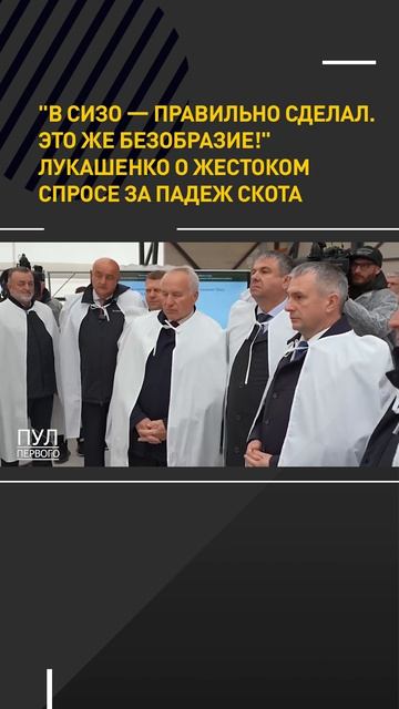 "В СИЗО - правильно сделал. Это же безобразие!" Лукашенко о жестоком спросе за падеж скота