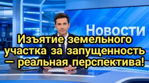 У собственников осталось два года на то, чтобы привести участки в порядок и избежать изъятия