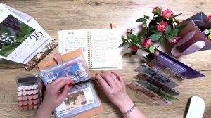 Распределение N14