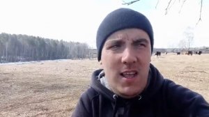 ПОЧЕМУ Я СТАЛ СОЧИНЯТЬ СТИХИ? ИСТОРИЯ ИЗ ЖИЗНИ.mp4