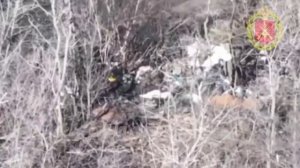 В районе Рай-Александровки